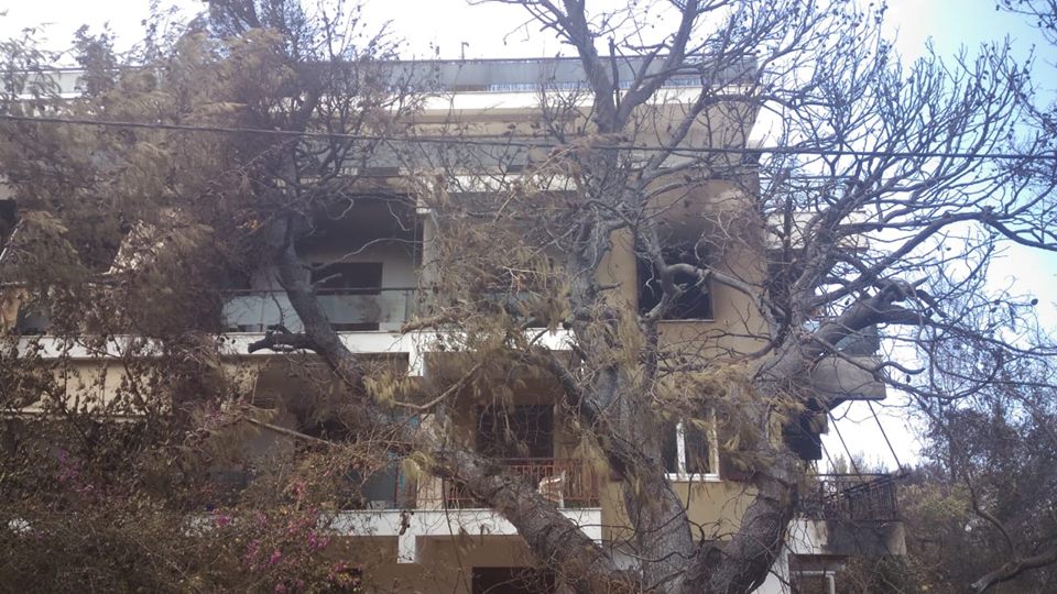 Ambasada shqiptare në zonat e shkrumbuara nga zjarri në Athinë: 6 shqiptarë të plagosur