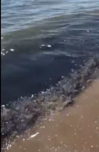 VIDEO/ Denoncimi, turisti dixhital tregon ndotjen e detit në Durrës