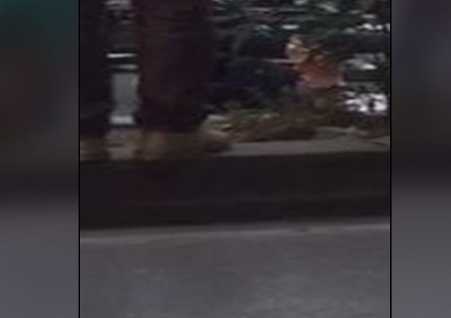 VIDEO/Aksident në Tiranë, makina përplas rëndë motorin