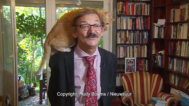 VIDEO/Moment i sikletshëm gjatë intervistës, macja i hipën mbi supe profesorit