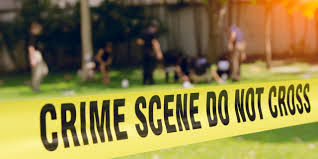 Tragjike, vriten ne një cast 11 shoferë