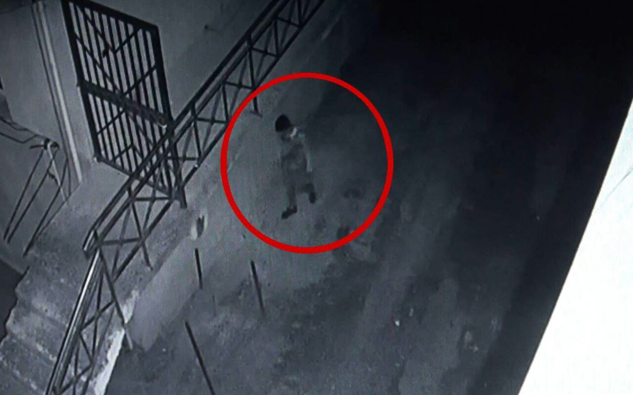 Jetonte duke vjedhur, lushnjari zbriste ne Elbasan per ‘pune’