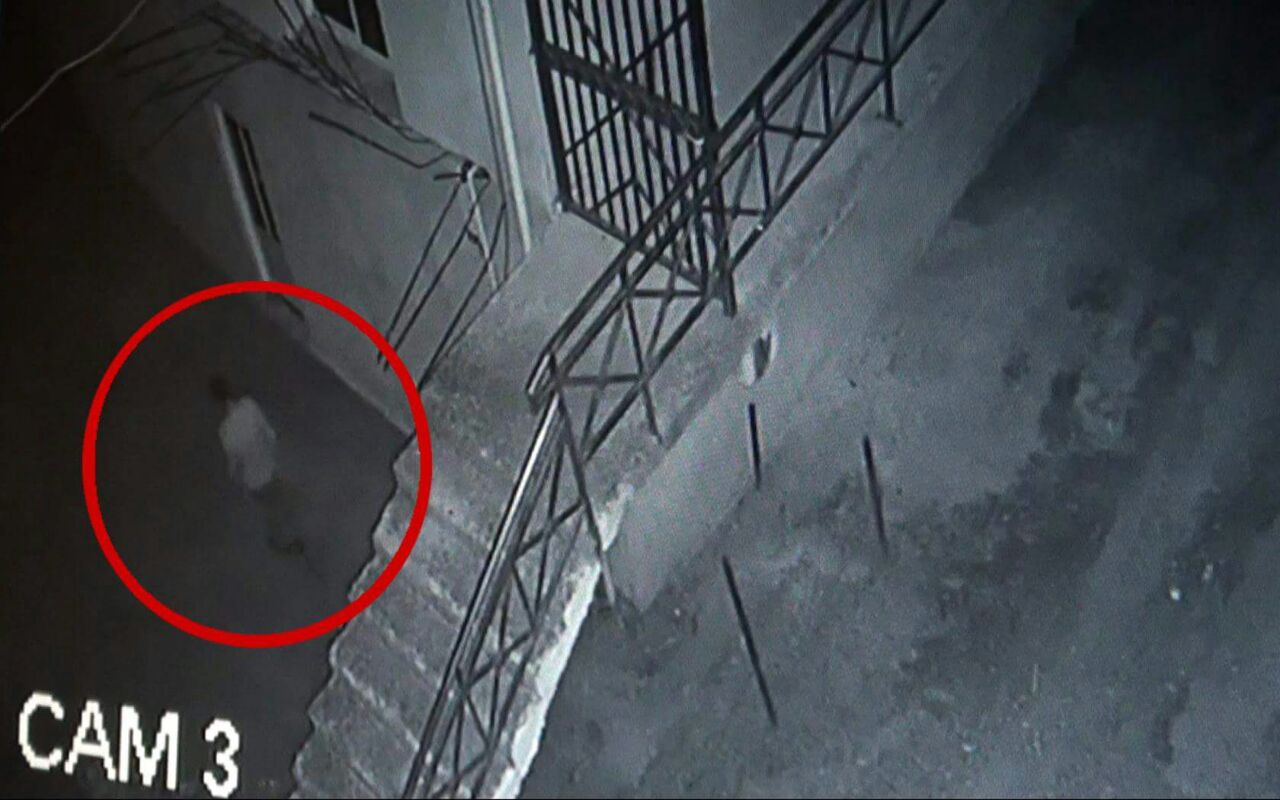 Jetonte duke vjedhur, lushnjari zbriste ne Elbasan per ‘pune’