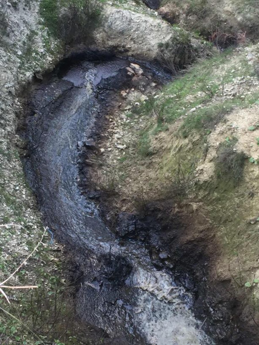 FOTO & DENONCIM/ Ndotja e tmerrshme than pemët në fshatin Gorishovë….