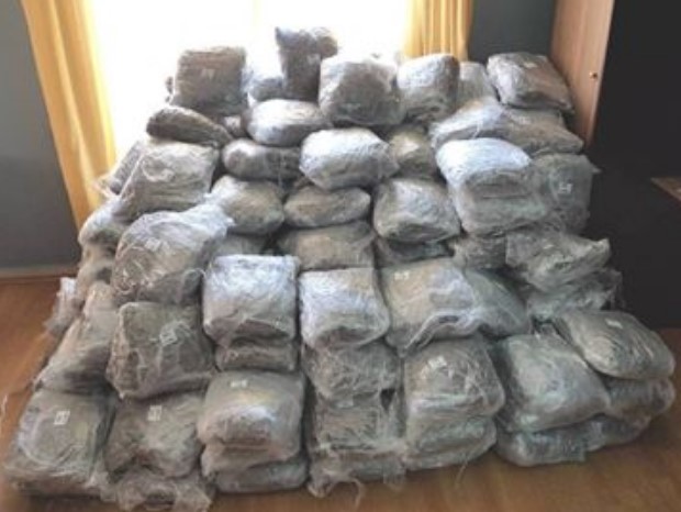 Policia greke kap 264 kg canabis, arrestohet 76-vjecari shqiptar