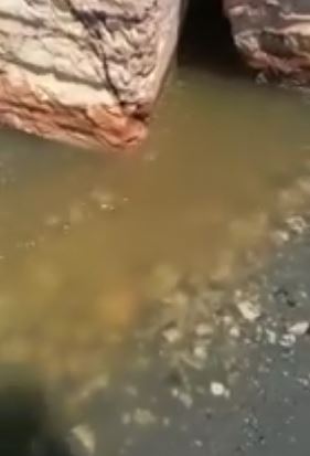 VIDEO/Kulmi i sezonit veror, por pisllëku ka plasur sheshit në detin e Durrësit