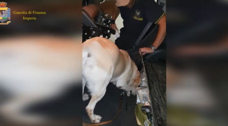 Qeni fundos ciftin shqiptar, i zbulon 290 mijë euro në kufirin italo-francez