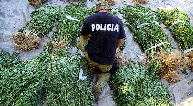 “O do më japësh 1200 euro tha se e di sa numra ke t‘atyre”/ Ja përgjimet e policit që ndihmonte trafikantët