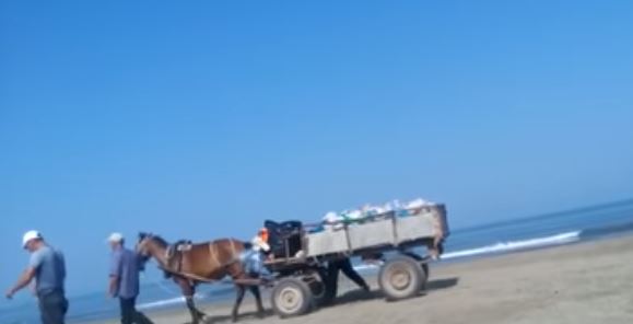 VIDEO/Denoncimi i qytetares në Darëzezë, ja si karroca me kuaj mbledh plehrat në plazh