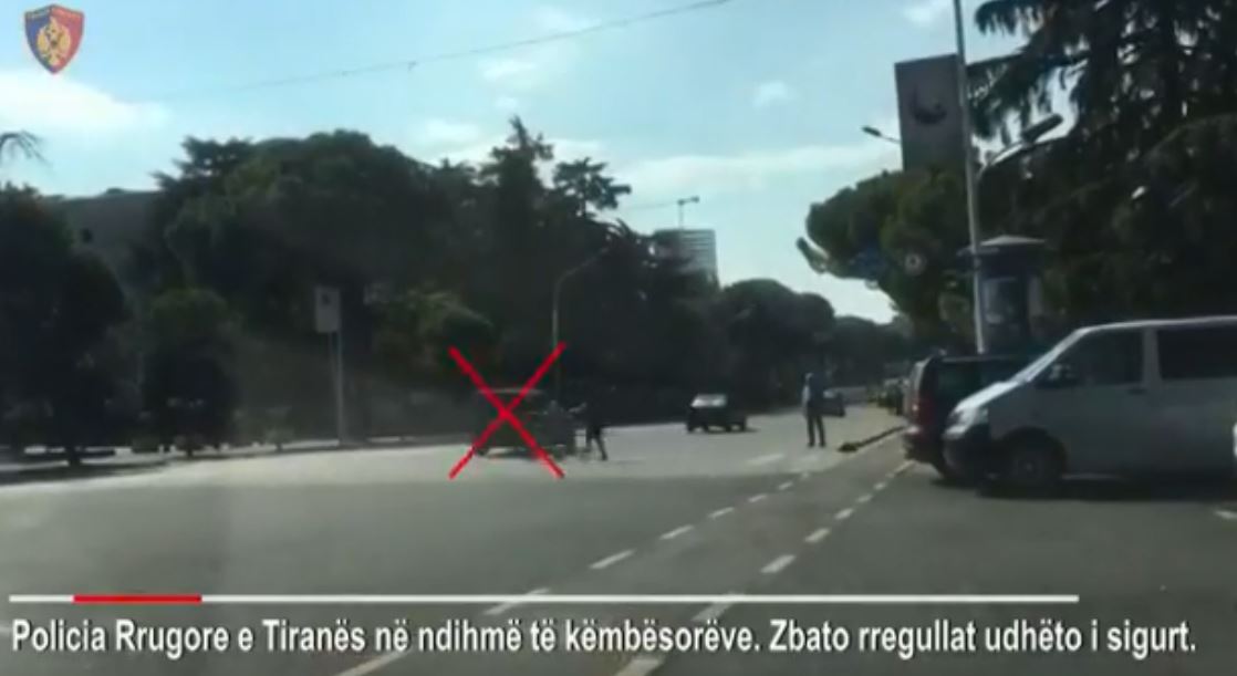 VIDEO/65 shoferë nuk u japin përparësi këmbësorëve, ja disa shkelje në dy orë në kryeqytet