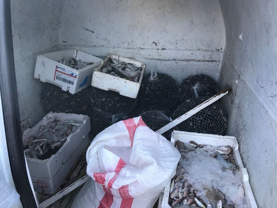 Kujdes kur konsumoni këto ushqime dhe pije në lokale, AKU vazhdon bllokimin e mallrave të skaduara në disa qytete