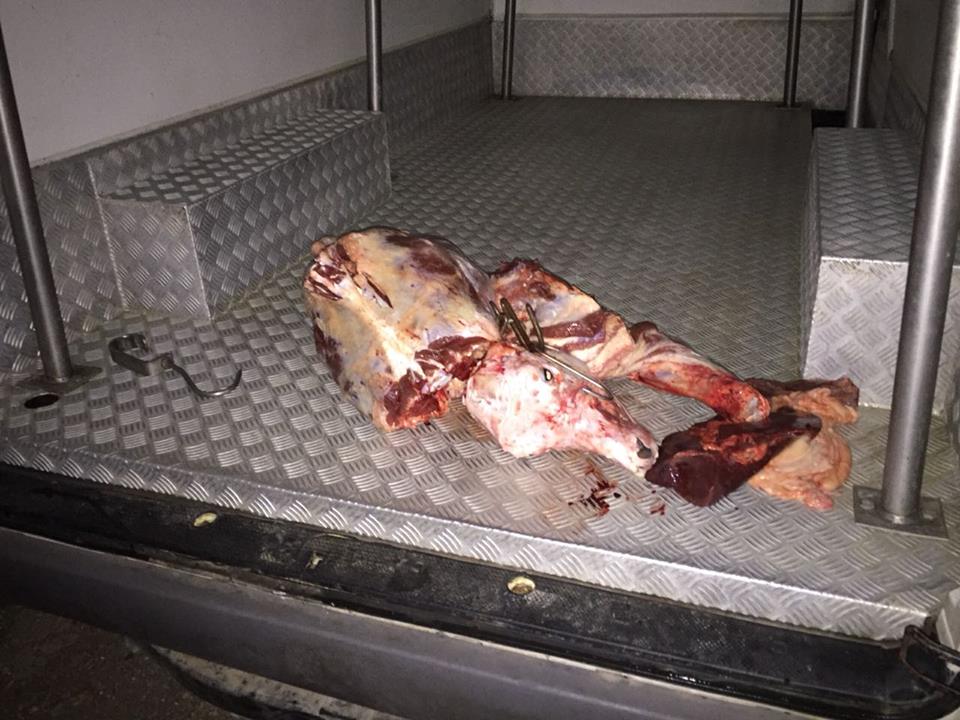 Bllokohet biznesi në Prrenjas pas denoncimit të qytetarit:Mishi therej dhe tregtohej në kushte skandaloze