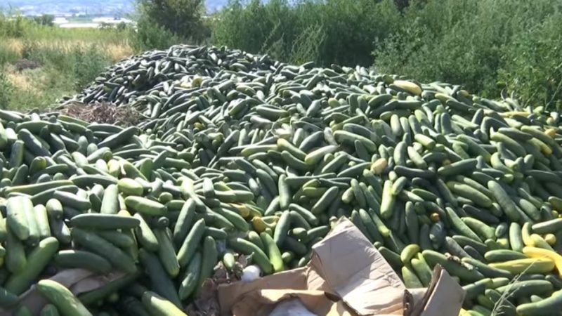 Fermeri nga Fieri flak kastravecat, nuk ka treg për t’i shitur