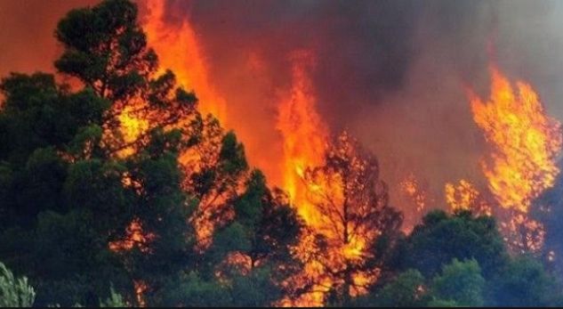Alarmi nga zjarret në Shqipëri, këto janë pesë zonat më të rrezikuara
