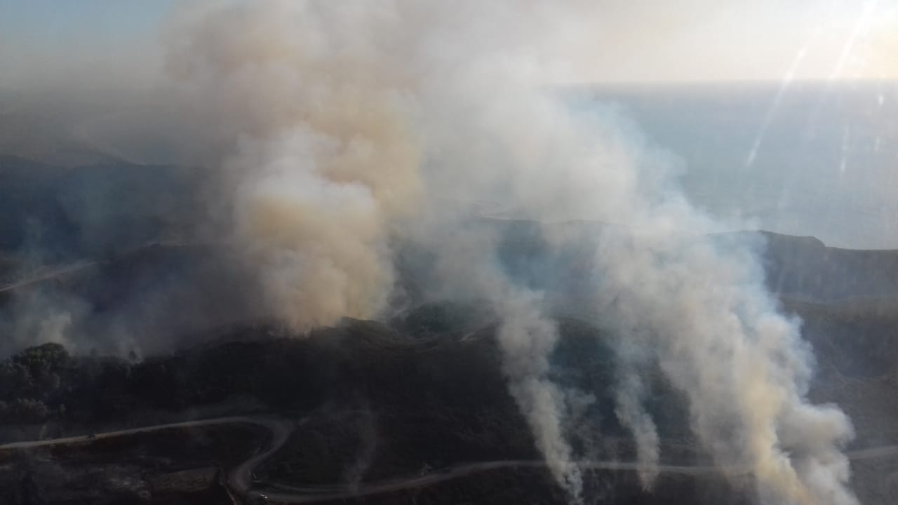 FOTO/Digjen kodrat me shkurre në Kavajë, zjarri pranë plazhit të Gjeneralit