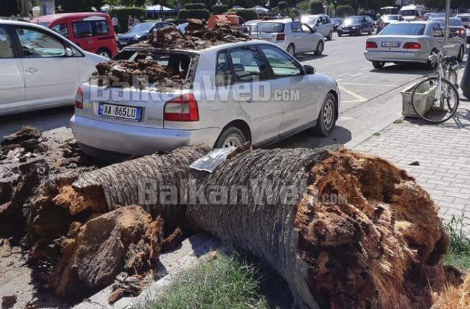 FOTO/Rrëzohet palma, shkatërron makinën në Vlorë