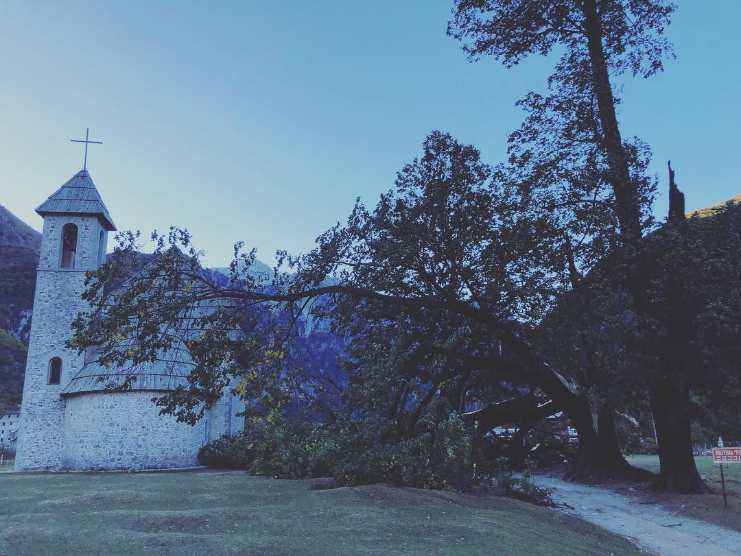 Qytetarët publikojnë foto, shkatërrohet bliri 200 vjeçar në Kishën e Thethit