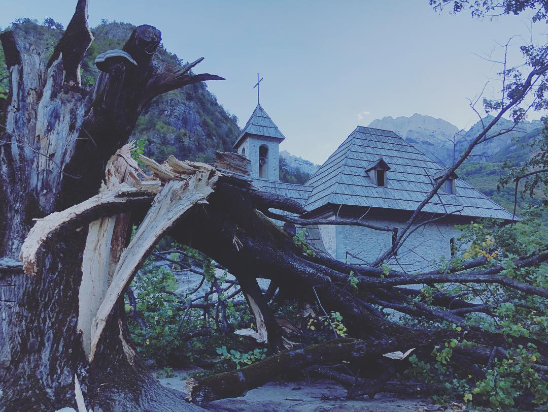 Qytetarët publikojnë foto, shkatërrohet bliri 200 vjeçar në Kishën e Thethit