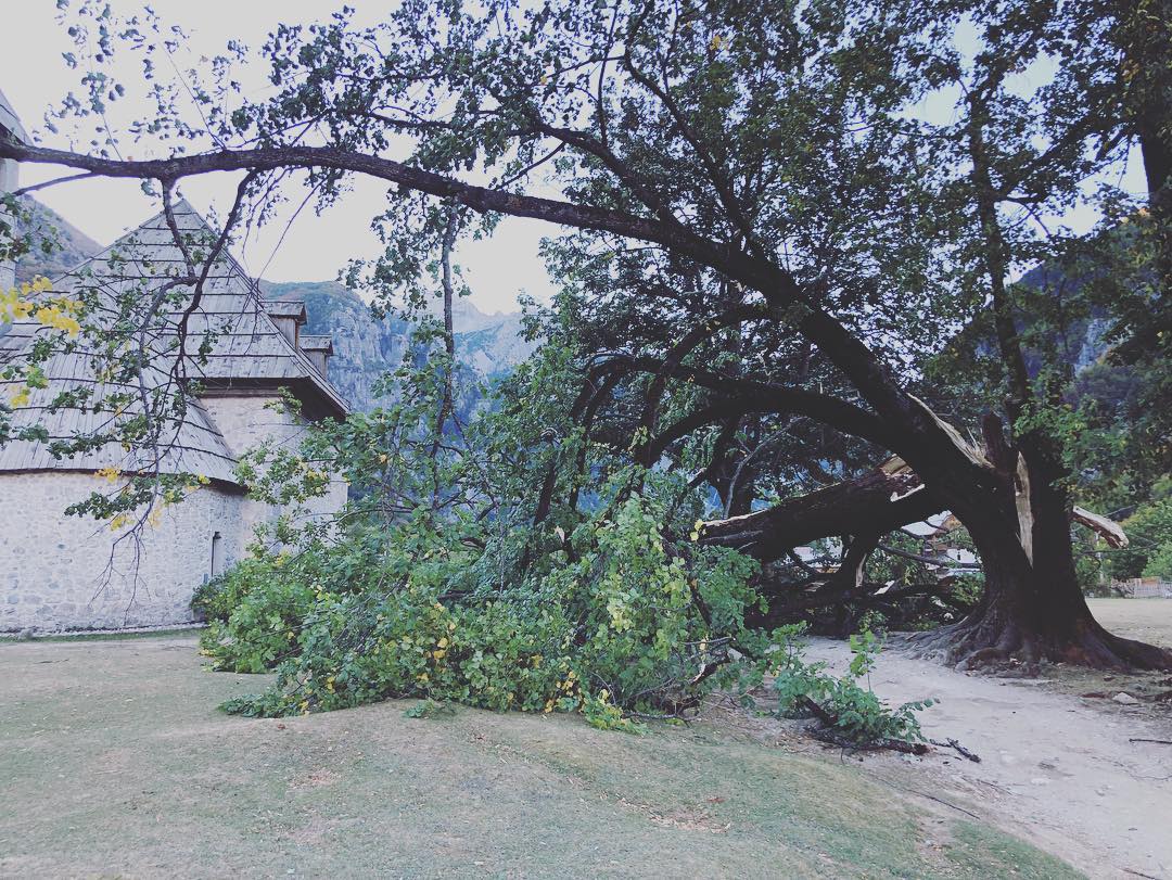 Qytetarët publikojnë foto, shkatërrohet bliri 200 vjeçar në Kishën e Thethit