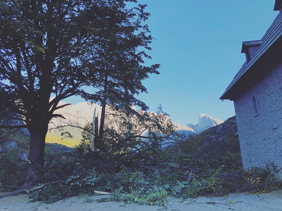 Qytetarët publikojnë foto, shkatërrohet bliri 200 vjeçar në Kishën e Thethit