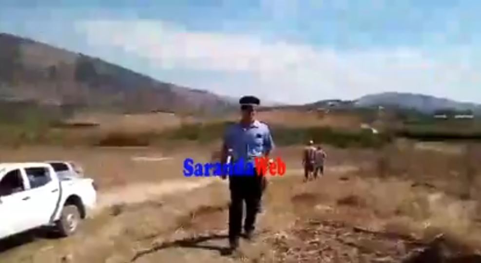 VIDEO/Policia aksion për shkuljen e pemëve të mandarinave, fermerët: Nuk mbollëm hashash…