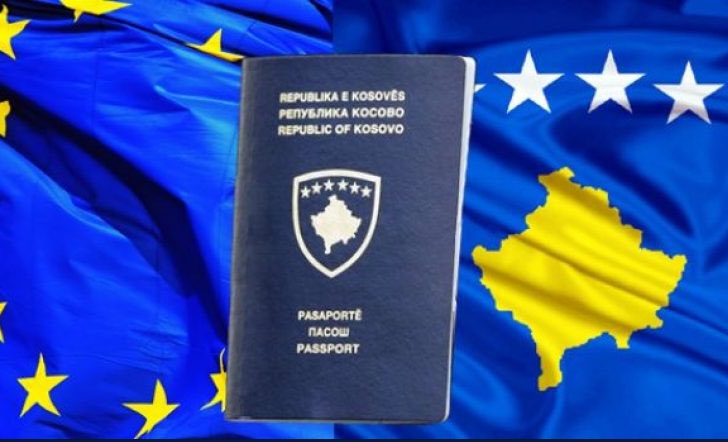 Vendimi i PE për vizat, Basha: E drejtë e merituar, mbështetje e qartë për Kosovën