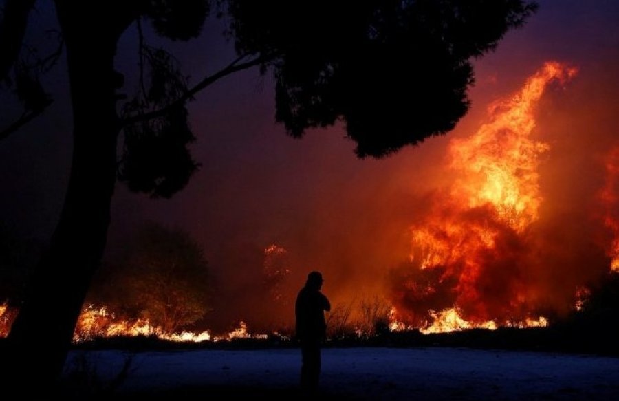 VIDEO/Zjarr i fuqishëm në Lezhë, rrezikohen shtëpitë dhe shkolla
