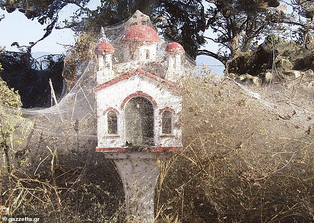 Pamje të frikshme nga liqeni, rrjeta ‘gjigande’ e merimangës