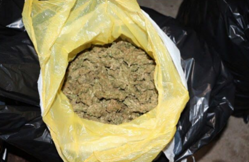 Kapen 21 kg kanabis në Memaliaj, arrestohen dy persona