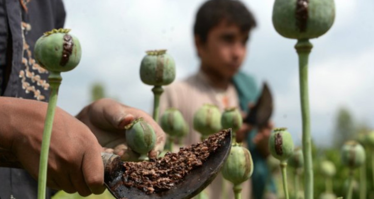 Historia e pabesueshme: Kur droga konsumohej normalisht si ushqimi