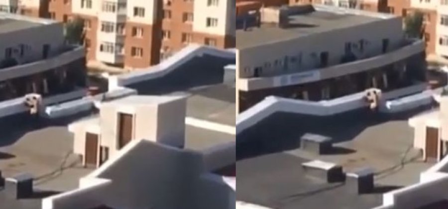 VIDEO+18/ Seks në tarracë, komshinjtë nuk ua ndajnë sytë, nuk dinin të ndaleshin