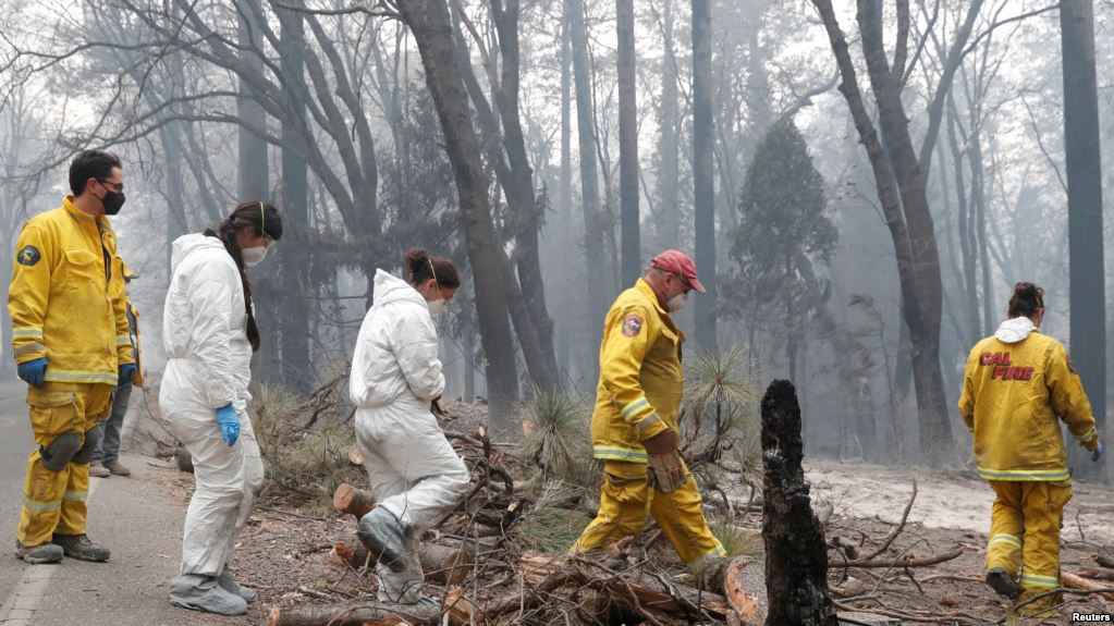 Bilanc tragjik, mbi 50 të vdekur nga zjarret në Kaliforni
