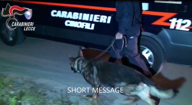 Kapet drogë që vinte nga Shqipëria, goditen dy grupe kriminale në Itali,  jepen 41 urdhër-arreste