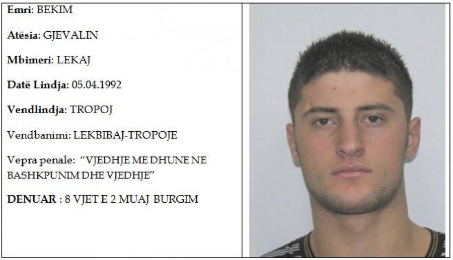 FOTO/ Publikohen emrat e 12 kriminelëve më të kërkuar edhe nga Gjirokastra