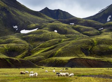 Vendet më të begata dhe të lumtura në botë, ja ku renditet Shqipëria