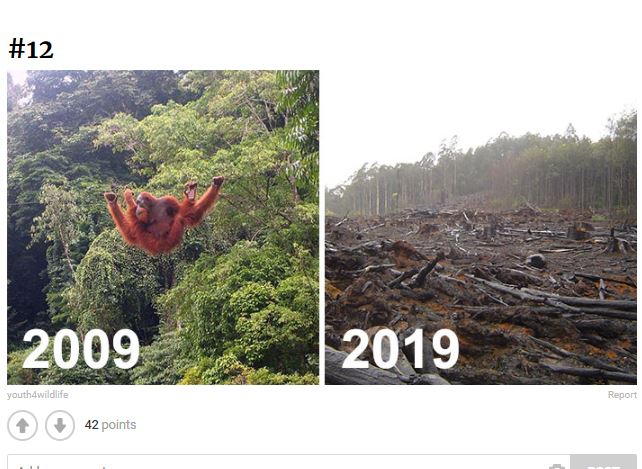 FOTO/Sfida e 10 viteve, ja si është katandisur Toka brenda një dekade