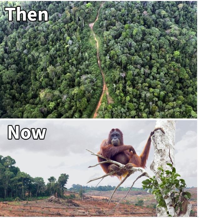 FOTO/Sfida e 10 viteve, ja si është katandisur Toka brenda një dekade