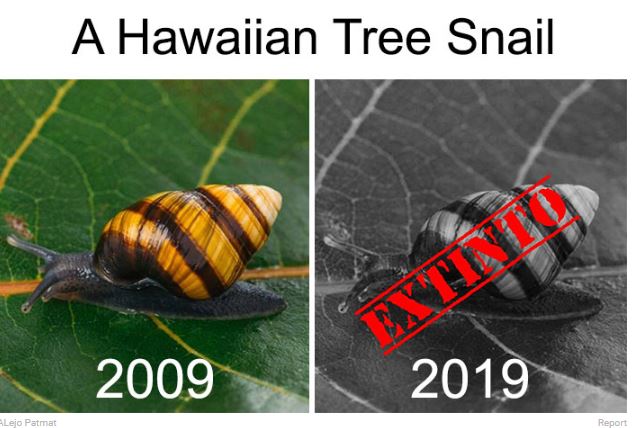 FOTO/Sfida e 10 viteve, ja si është katandisur Toka brenda një dekade