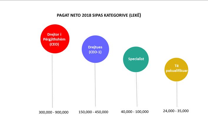 Ja profesionet që pritet të kërkohen dhe paguhen më shumë në Shqipëri në 2019-n