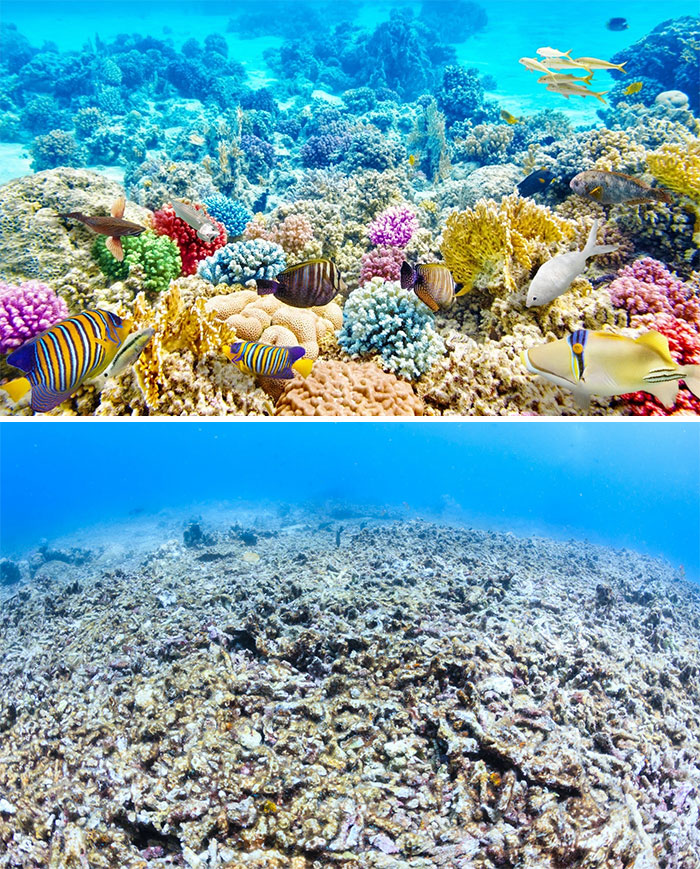 FOTO/Sfida e 10 viteve, ja si është katandisur Toka brenda një dekade