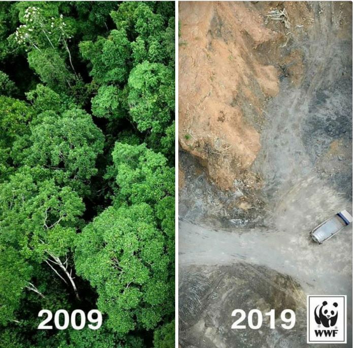 FOTO/Sfida e 10 viteve, ja si është katandisur Toka brenda një dekade