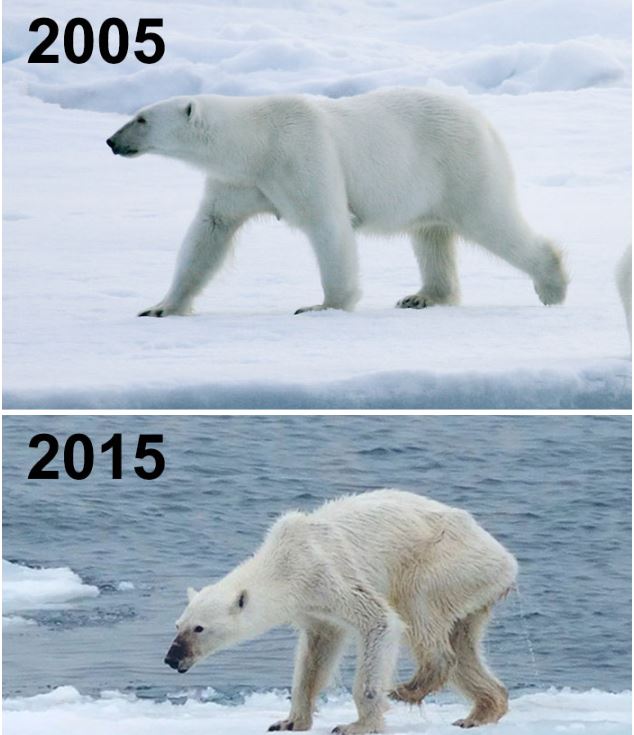 FOTO/Sfida e 10 viteve, ja si është katandisur Toka brenda një dekade