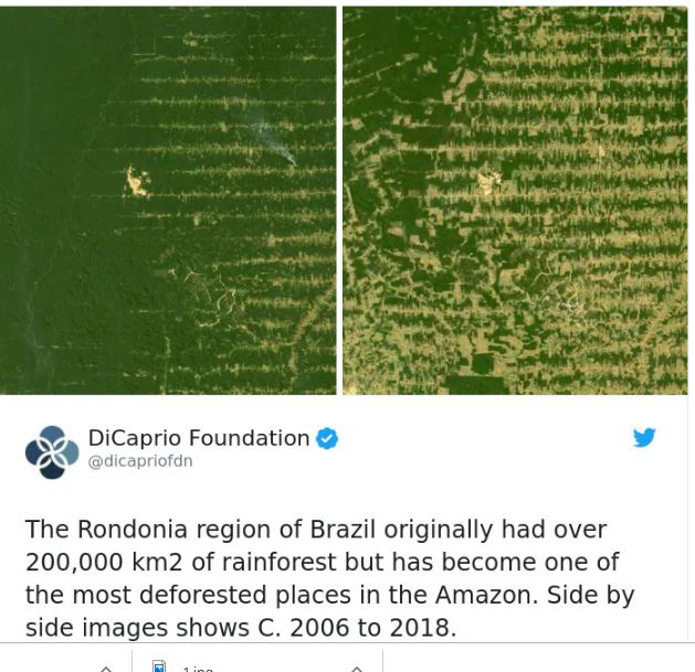 FOTO/Sfida e 10 viteve, ja si është katandisur Toka brenda një dekade