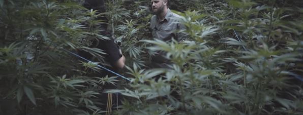 VIDEO/Që nga Kodi i Kanunit e deri tek trafikimi, publikohet dokumentari mbi mafien shqiptare