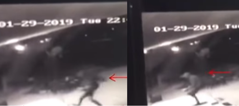 VIDEO/Dalin pamjet, si ju vendos tritoli mobilerisë në Nikël