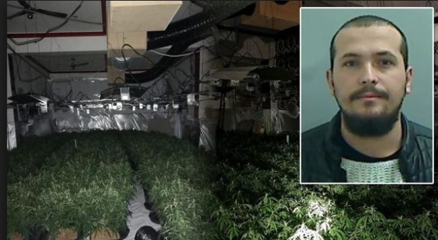 U nis drejt Britanisë për studimet master, pranga 22-vjeçarit shqiptar