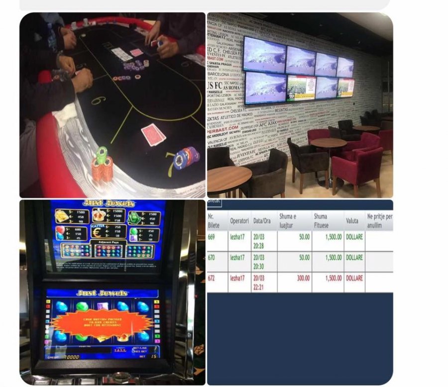 FOTO/ Denoncimi, bixhozi në Shqipëri lulëzon krenar, të përfshirë njerëzit e Ramës