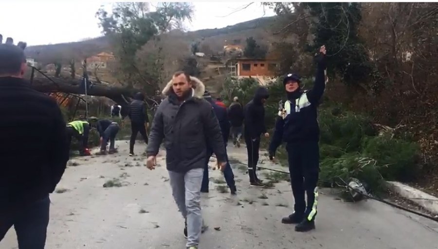 LAJMI I FUNDIT/ Pema rrëzohet nga era e fortë, bllokohet rruga Tiranë – Elbasan