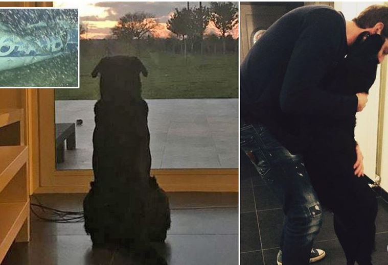 Motra e Sala publikon foton prekëse, qeni pret tek dera për futbollistin