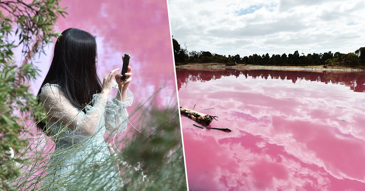 FOTO/Pamje të mahnitshme, fenomeni natyror i jep liqenit ngjyrën rozë